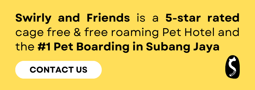 what-is-pet-boarding